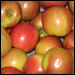 Fresh local apples from Friske Orchards