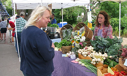 Kathie Maldonado uses her Bridge Card at the Sara Hardy Farmers Market in Traverse City to double-her money. 